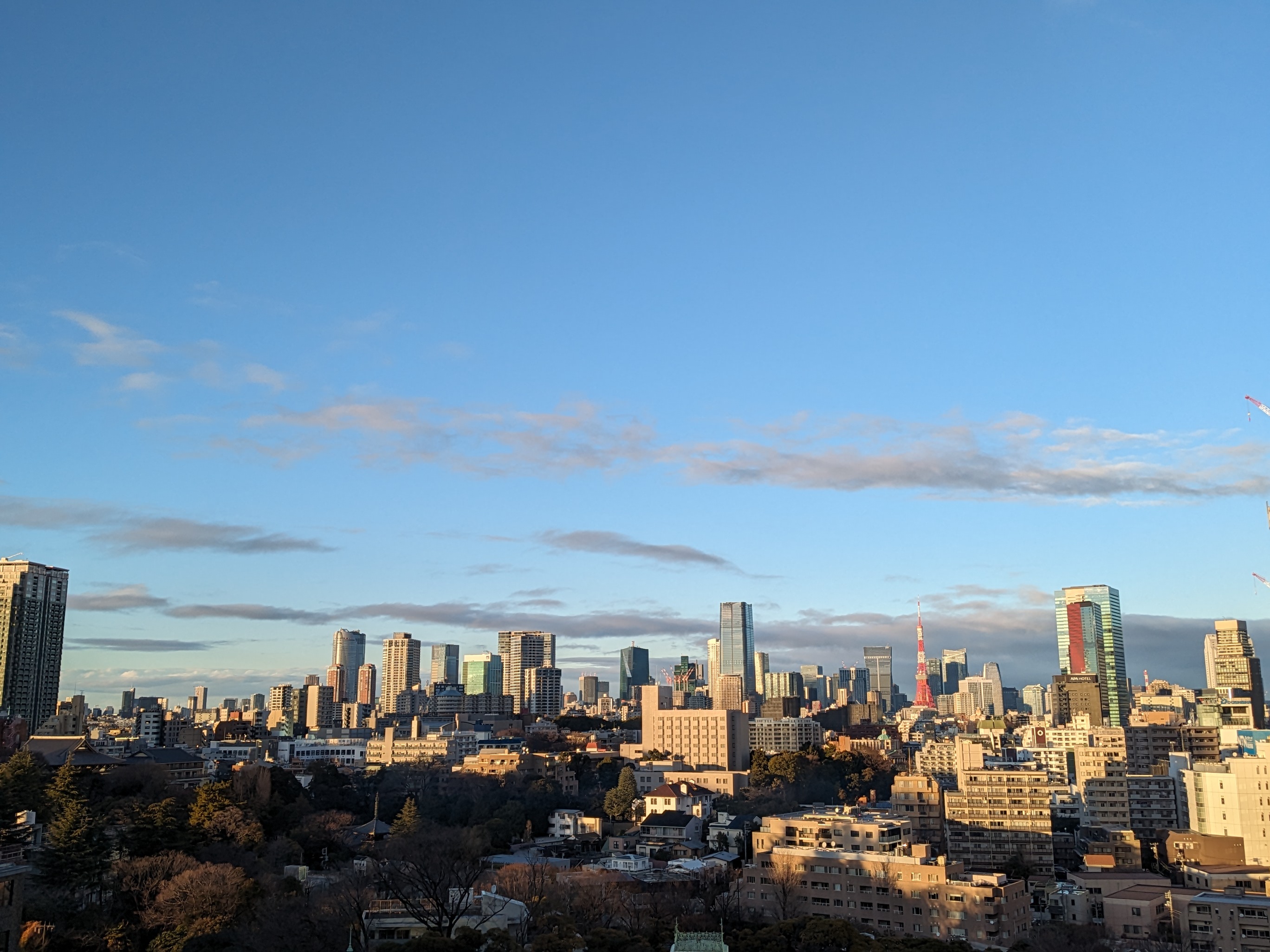 Tokyo Morning